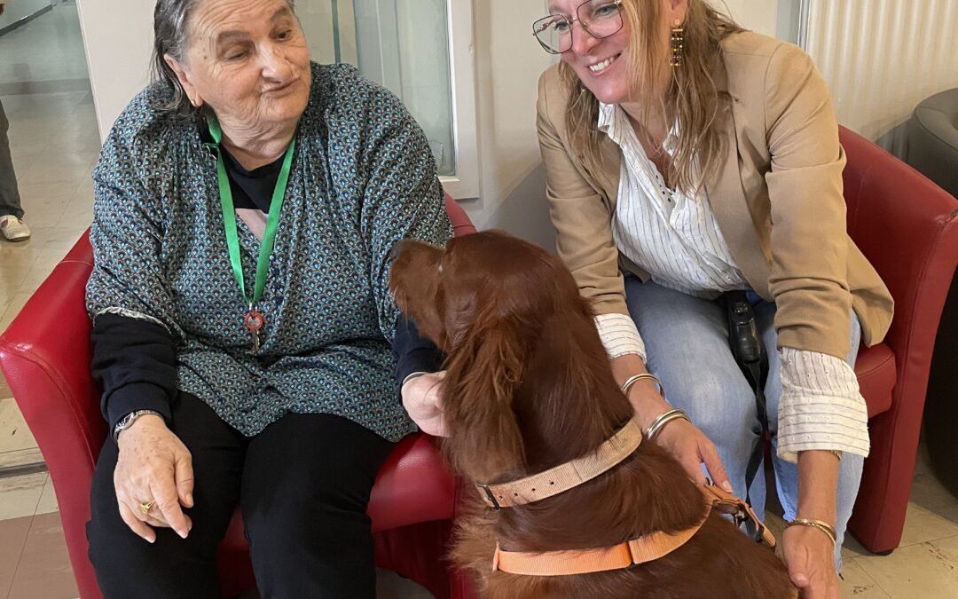 PLS Atelier découverte médiation animale